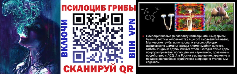 Псилоцибиновые грибы ЛСД  Куровское 