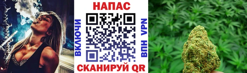 где найти   Куровское  Марихуана индика 